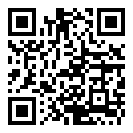 QR-код MAX